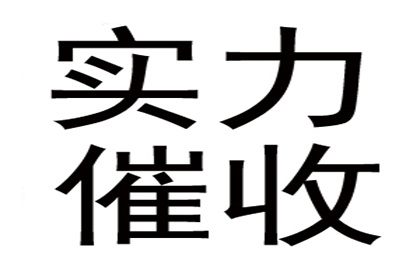 法定代表人及股东个人借款的偿还责任问题